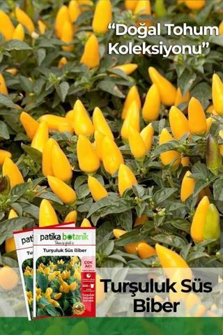 150 Adet Yerli Ata Turşuluk Süs Biberi