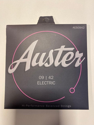 3M Music Auster Elektro Gitar Teli 09/42 Elektro Gitar Teli Pena Hediyeli