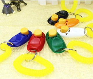 KÖPEK EĞITIMI CLICKER