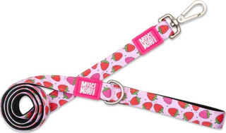 Max Molly Strawberry Dream Köpek Gezdirme Kayışı Large