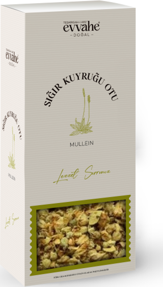 SIĞIR KUYRUĞU OTU (100 Gr.)