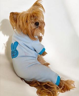 Blue Bunny Kalın Penye Köpek Tulum Pijama