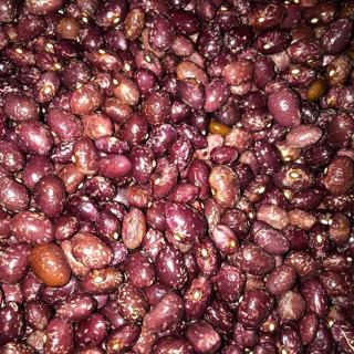 YERLİ UZUN ENLİ TURŞULUK SIRIK FASULYE TOHUMU 500 GR (KIZIL ALACA)