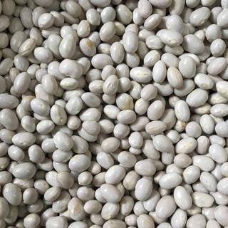 Yerli Ata Tohumu Oturak Şeker Fasulyesi 25 Gr