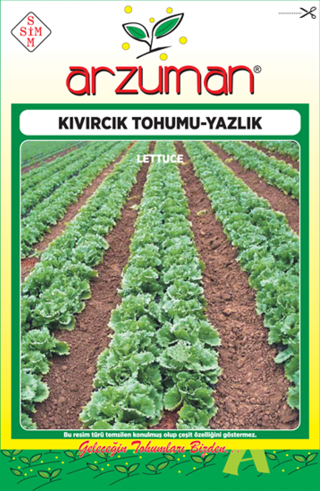 YAZLIK KIVIRCIK MARUL TOHUMU 10 GR ORT 7500 AD TOHUM