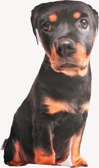 Lepus 3 Boyutlu Köpek Yastığı No 17 40x25 Cm