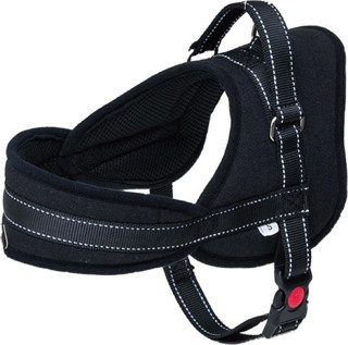 Eastland Çekmeyi Önleyici Reflektörlü Köpek Göğüs Tasma 2,5x60-75 Cm