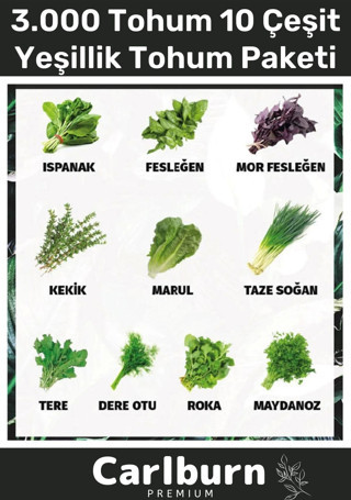 12 Ay Ekim Yapılabilen 3.000 Tohum Ayrı Ayrı Paketli 10 Çeşit Yeşillik Sürdürülebilir Tohum Paketi
