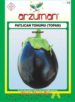 TOPAN PATLICAN TOHUMU 10 GR ORT 2000 AD TOHUM