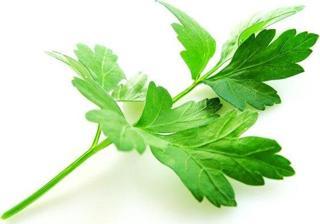 Yerli Maydanoz Tohumu 25 Gr (Ort 12500 Ad Tohum)