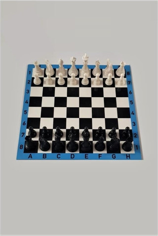 Saki Toys İnci Paketi Ahşap Satranç