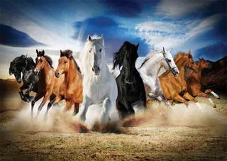 Gold Puzzle 2000 Parça Dörtnala Puzzle