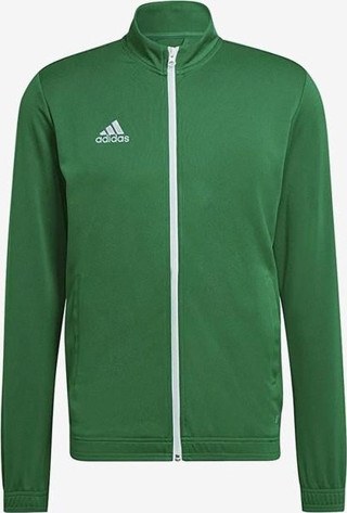 Adidas Entrada 22 Track Jacket Erkek Ceket HI2135