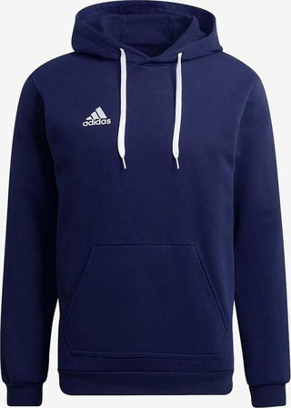 Adidas Entrada 22 Hoody Erkek Sweatshirt H57513