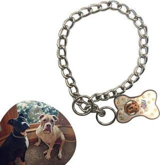 65 cm Uzunlukta Zincir Model Köpek İçin Boyun Tasması-Findit