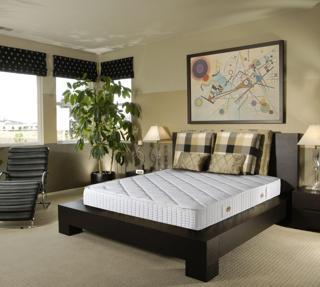 Lisa Ergonomik Lüks Ortopedik Yaylı Yatak 120*190