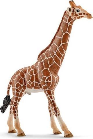 Schleich Erkek Zürafa 14749