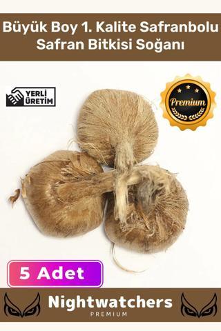 Deluxe Özel Dikime Hazır Yerli Üretim Büyük Boy 1. Kalite Safranbolu Safran Bitkisi Soğanı - 5 Adet