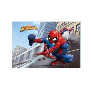 Spider-Man 25*35 16 Yaprak PP Kapak  Tel Dikişli Resim Defteri
