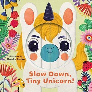 Little Faces: Slow Down Tiny Unicorn! - Rhiannon Findlay - Aurum Press Ltd