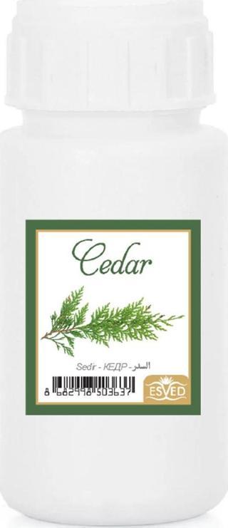 Sedir Kokusu Çubuklu Koku Bambu Kokusu Yedek Dolum Şişesi 100Ml