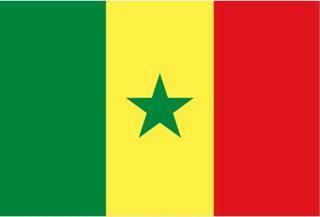 Uniquetrenders Senegal Gönder Bayrağı  70X105 Cm.  