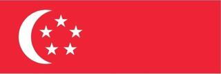 Uniquetrenders Singapur Bayrağı  30X45 Cm.  