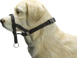 Beeztees Köpek Eğitim Tasması, Baş Kontrollu, Siyah, M
