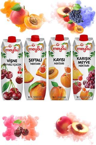 Meysu Meyve Nektarı 1 Lt X 4 Adet (Kayısı, Vişne, Şeftali, Karışık Meyve)