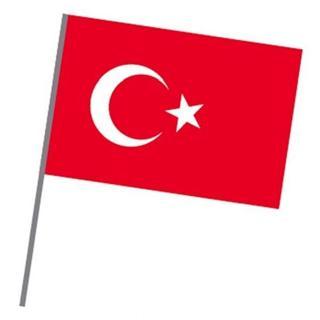 Vatan Sopalı Bez Türk Bayrağı 20X30 Cm 10 Lu Vt225