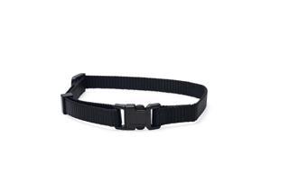 Beeztees Yavru Köpek Boyun Tasması, Çeşitli Renklerde, 22-35cm, 10mm
