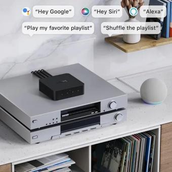 WiiM Pro AirPlay 2 - WiFi Çok Odalı Yayıncı Chromecast WiiM Pro Plus