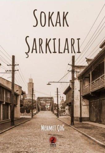 Sokak Şarkıları - Mehmet Çoğ - Ceren Yayınevi