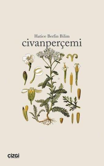 Civanperçemi - Çizgi Kitabevi