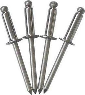 Pop perçin. Paslanmaz çelik 4.8x13 mm