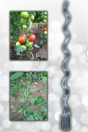 Aktepe Group Bitki Çubuğu 10 Adet 150 Cm Metal Spiral Bitki Teli Ve Desteği Fidan Bağlama Teli Ve Çiçek Teli