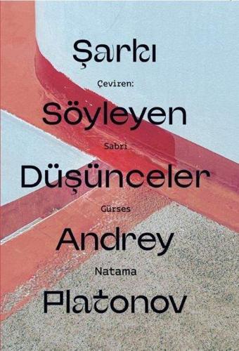 Şarkı Söyleyen Düşünceler - Andrey Platonov - Natama