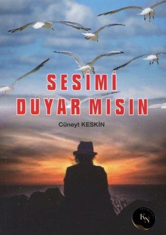 Sesimi Duyar mısın - Cüneyt Keskin - KN Yayıncılık