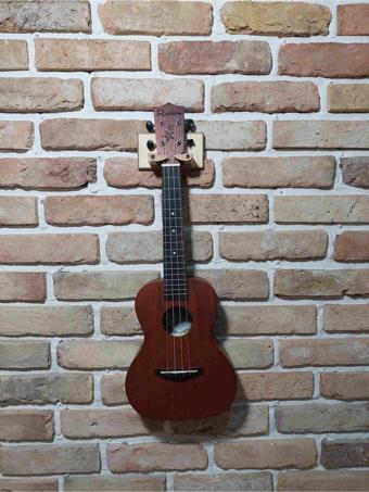 Gitar Ukulele Stand Ahsap Duvar Tipi + Ahsap Pena