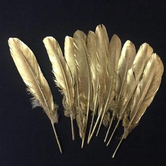 Kuzey 10 Adet Metalik Parlak Altın Kuş Tüyü Altın Kuş Tüyü Decor Gold Bırd Feather Altın Şeffaf Balon Tüyü