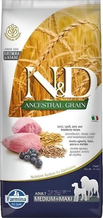 N&D Low Medium Maxi Yaban Mersini&Kuzu Köpek Maması 12 Kg