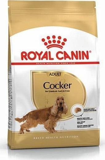 Royal Canin Cocker Spaniel Adult Yetişkin Köpek Maması 3 Kg