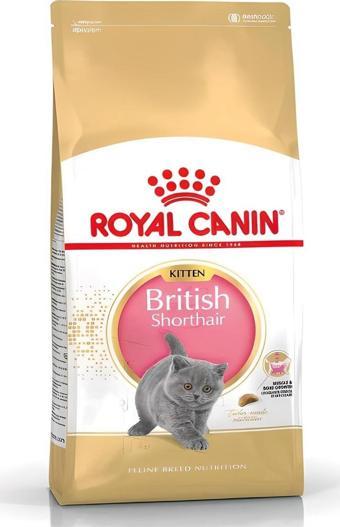 Royal Canin Kitten British Shorthair Yavru Kedi Maması 2 Kg