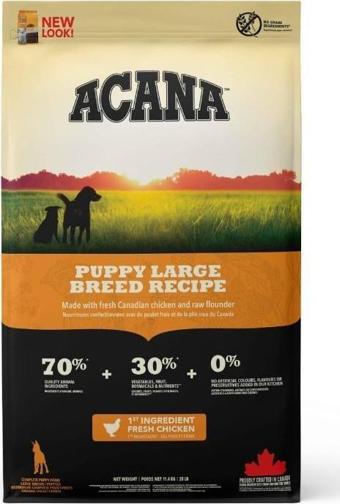 Acana Large Breed Büyük Irk Tavuklu Yavru Köpek Maması 11,4 Kg