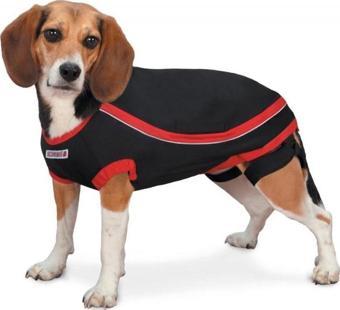 Kong Köpek Anksiyete Giderici Elbise Xxs