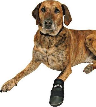 Trixie Köpek Patiği Neopren 2 Adet XXXL Siyah
