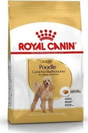 Royal Canin Poodle Adult 3 kg Yetişkin Köpek Maması