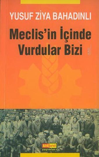 Meclis'in İçinde Vurdular Bizi - Yusuf Ziya Bahadınlı - Asya Şafak Yayınları