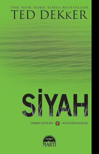 Siyah - Ted Dekker - Martı Yayınları Yayınevi