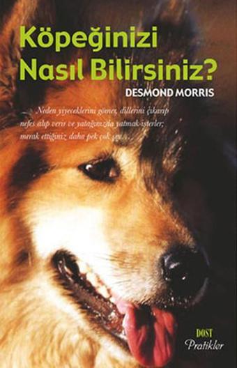 Köpeğinizi Nasıl Bilirsiniz? - Desmond Morris - Dost Kitabevi